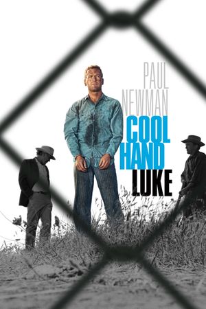 Cool Hand Luke's poster