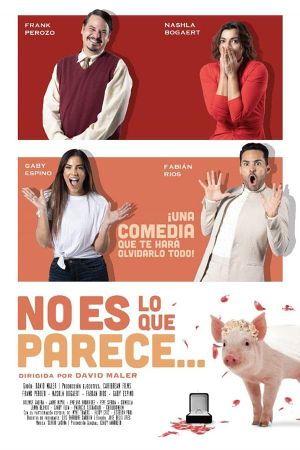 No es lo que parece's poster