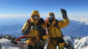 Sadpara The Mountaineer's poster