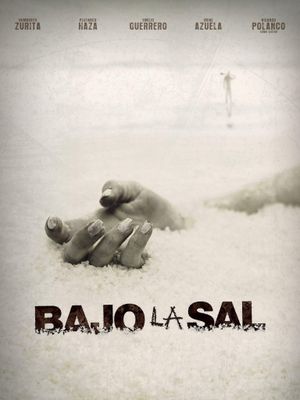 Under the Salt's poster