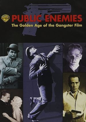 Public Enemies: The Golden Age of the Gangster Film's poster