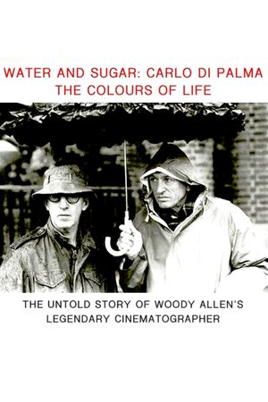 Water and Sugar's poster