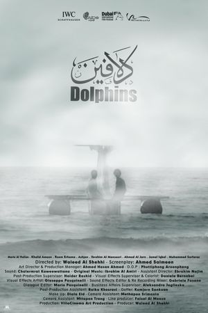 Dolphins's poster