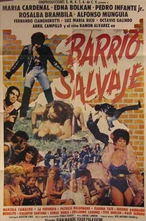 Barrio salvaje's poster