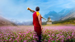The Monk and the Gun's poster
