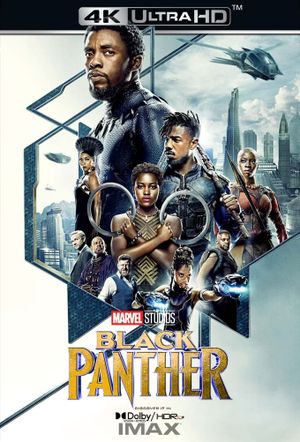 Black Panther's poster