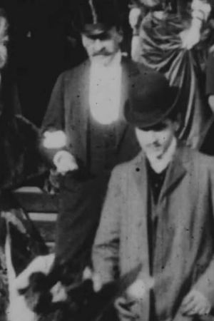 Marcel Proust at Elaine Greffulhe's Wedding's poster