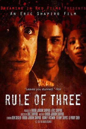 Rule of 3's poster