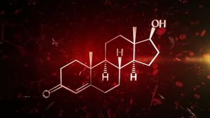 The Fantastical World of Hormones with Professor John Wass's poster