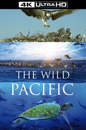 The Wild Pacific's poster