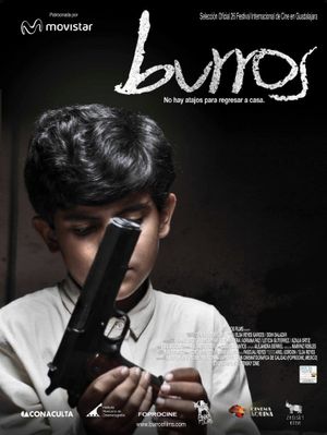Donkeys's poster