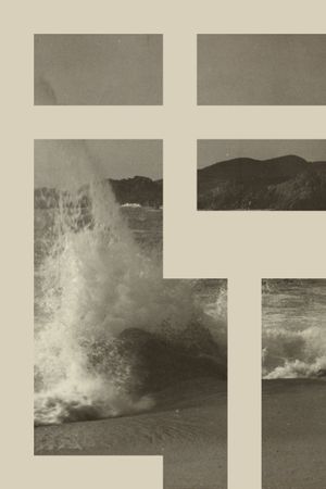 FELT's poster