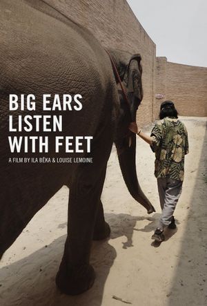 Big ears Listen with Feet's poster image