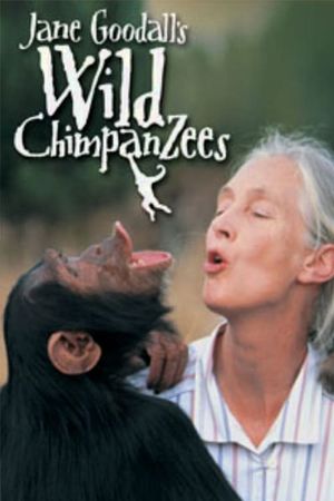Jane Goodall's Wild Chimpanzees's poster