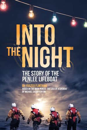 Into the Night's poster image