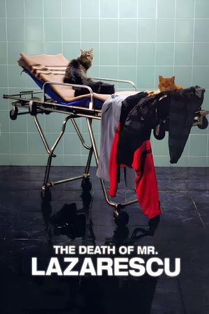 The Death of Mr. Lazarescu's poster