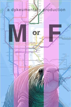 M or F's poster