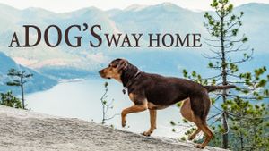 A Dog's Way Home's poster