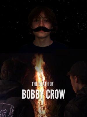 The Death of Bobby Crow's poster