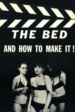 The Bed and How to Make It!'s poster