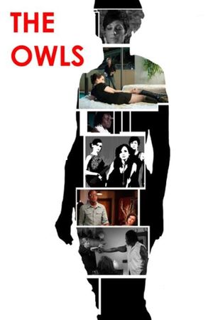 The Owls's poster