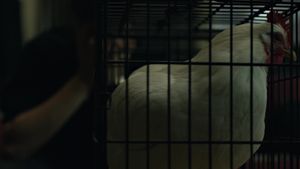 The Social Network's poster
