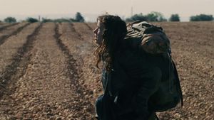Vagabond's poster