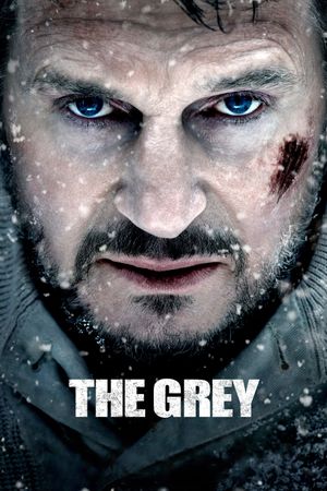 The Grey's poster