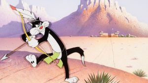 Tom Tom Tomcat's poster