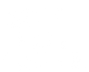 The Spy Who Fell to Earth's poster