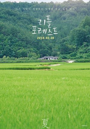 Little Forest's poster