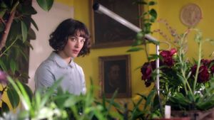 This Beautiful Fantastic's poster