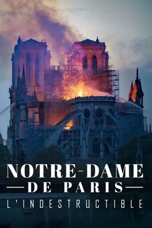 Notre-Dame de Paris, l'indestructible's poster