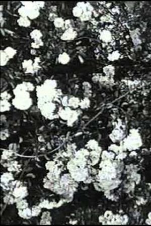 Jean Epstein or Cinema by Itself's poster