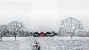 Snow Falls's poster