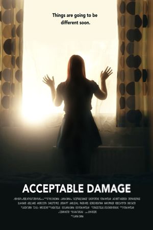 Acceptable Damage's poster