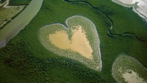 Nature : pour une réconciliation's poster