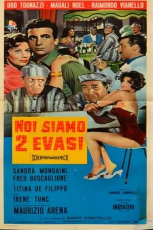 Noi siamo due evasi's poster