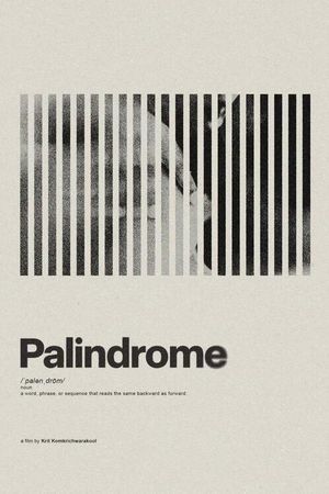 Palindrome's poster
