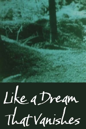 Like a Dream that Vanishes's poster