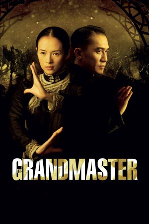 The Grandmaster's poster