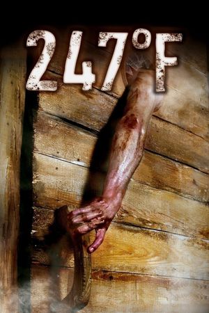 247°F's poster
