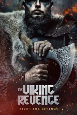 The Viking Revenge's poster