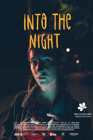 Into the Night's poster