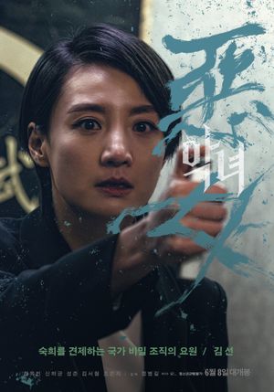 The Villainess's poster