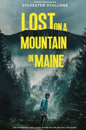 Lost on a Mountain in Maine's poster