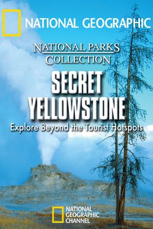 Secret Yellowstone's poster