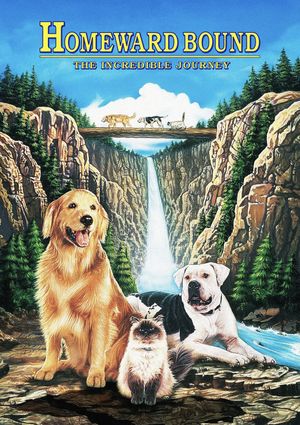 Homeward Bound: The Incredible Journey's poster