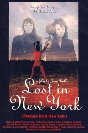 Lost in New York's poster