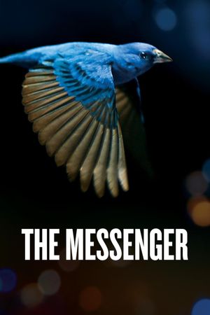 The Messenger's poster